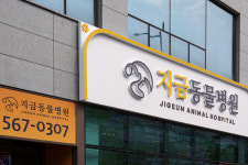 지금동물병원