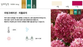 장프로농원
