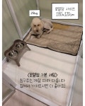 큰댕댕개치원 중대형견 애견호텔&유치원