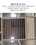 큰댕댕개치원 중대형견 애견호텔&유치원