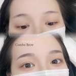 아미브로우
