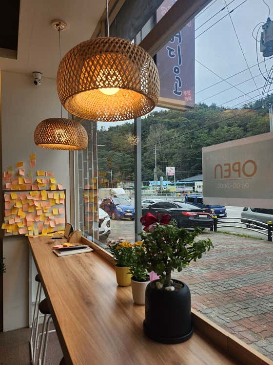 카페어딩고 사진