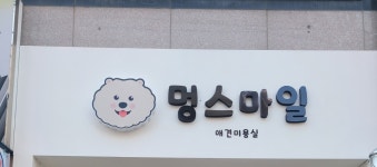 멍스마일