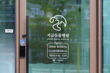 지금동물병원