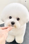 바림 펫그루밍샵