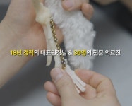 24시 서울YES동물병원