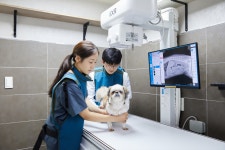 24시 일산시티동물의료센터