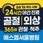 에스엘서울병원