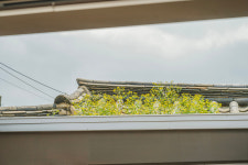 너드하우스 북촌