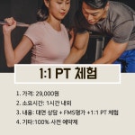 코리아 피티