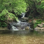 가평쏠스테이스파펜션