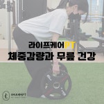 라이프케어PT