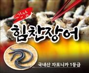 강남힘찬장어