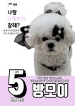 아이몽애견유치원 2호점