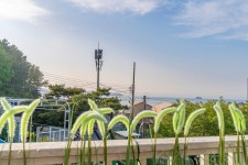 하이플레임스테이