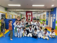 올림픽태권도