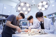 24시 일산시티동물의료센터