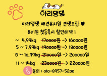 아리댕댕 향남점