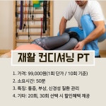 코리아 피티
