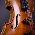 레슨포유음악학원