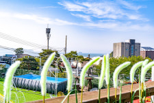 하이플레임스테이