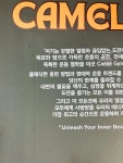24시 카멜짐 동천 헬스 pt