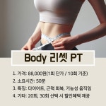 코리아 피티