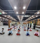 YS삼성태권도 아카데미