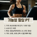 코리아 피티