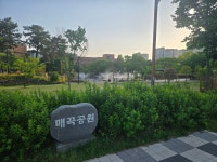에듀파크우리동네부동산공인중개사사무소