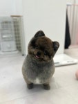 멍블라썸