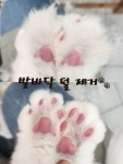 잔다냥 성남점