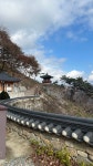 이화애기씨