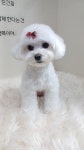 멍