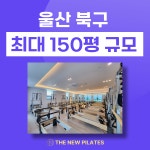 더뉴필라테스 울산송정점