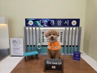 버블독스 광주쌍암공원점