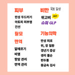 연세기린의원 노원