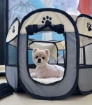 몽실몽실살롱