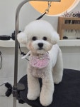 아뜰리에 몽