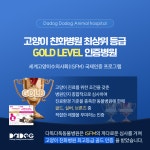 다독다독 동물병원