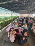용인대금메달태권도 수락산역점