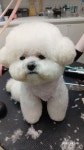멍