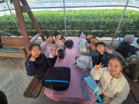 용인대금메달태권도 수락산역점