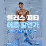 플러스피티