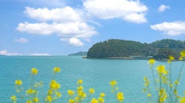 더비치 필로스 오션뷰 펜션
