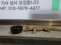 부릉스테이션 도량봉곡원호점