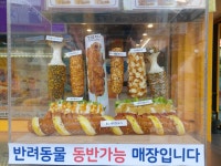 아리랑핫도그 중랑점