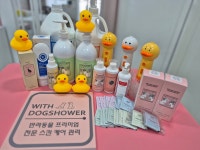 훤칠한고양이