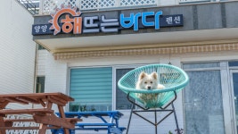 양양 해뜨는바다펜션
