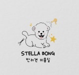 스텔라봉 애견미용 강아지미용
